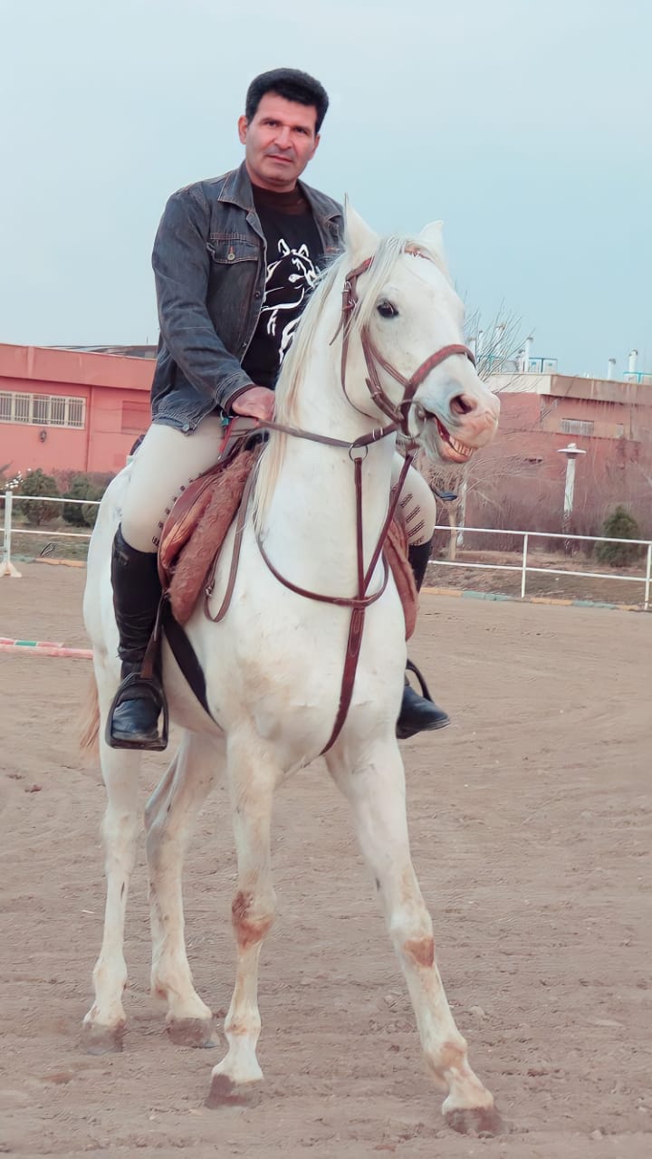 نمونه شماره2