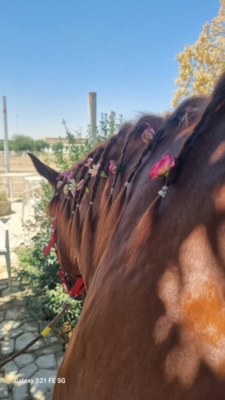 مطلب نمونه شماره1