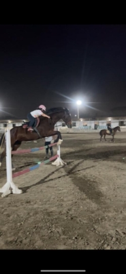 مطلب نمونه شماره2