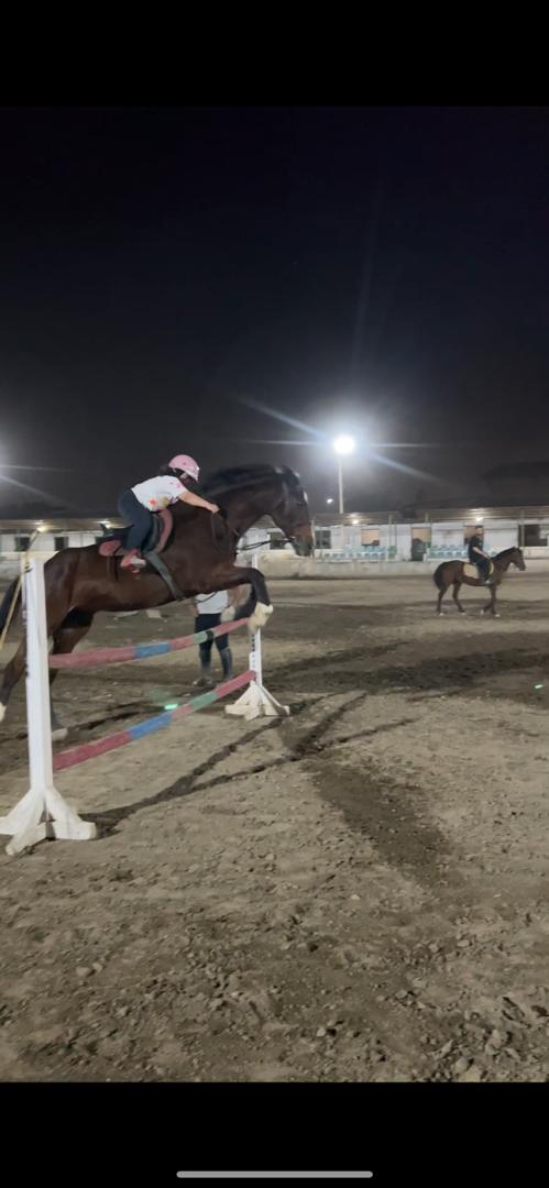 مطلب نمونه شماره2