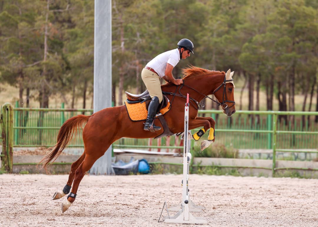 خدمات شماره4