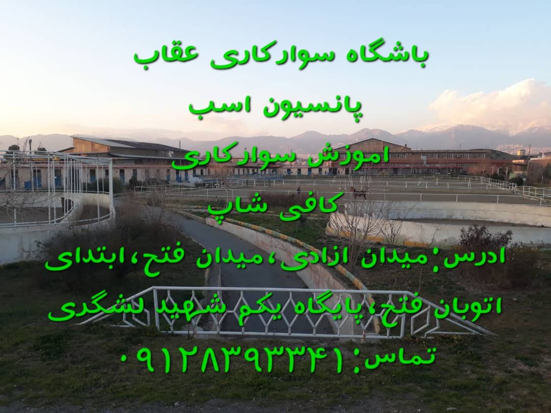 نمونه شماره 6